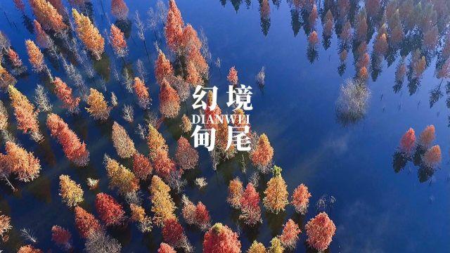 外星人坠落