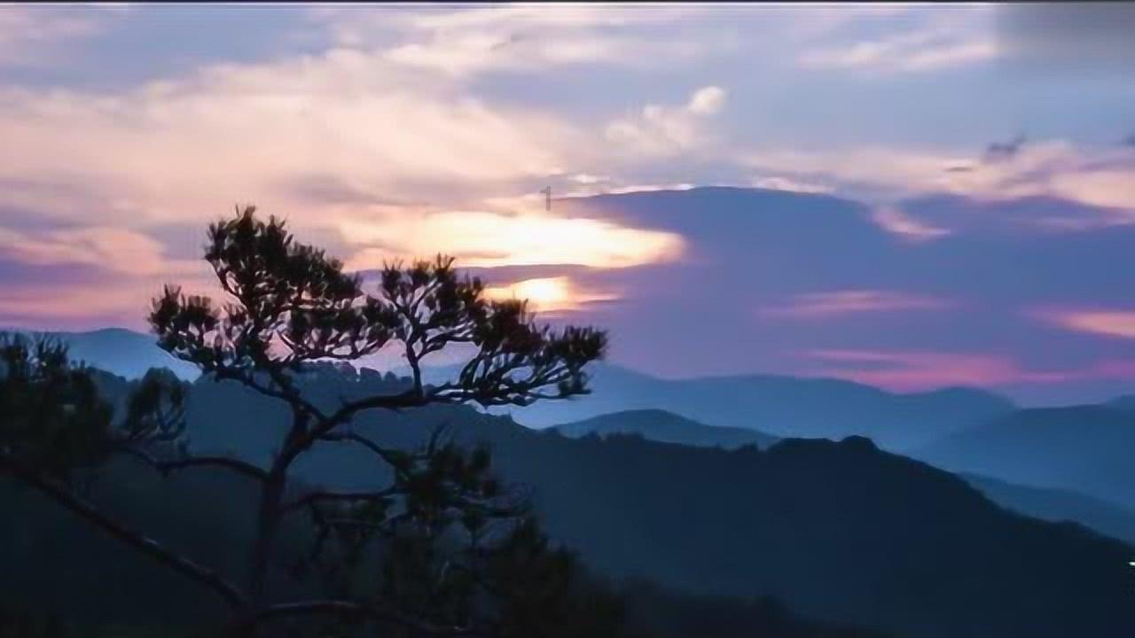 活化石是什么样的生物游戏画面