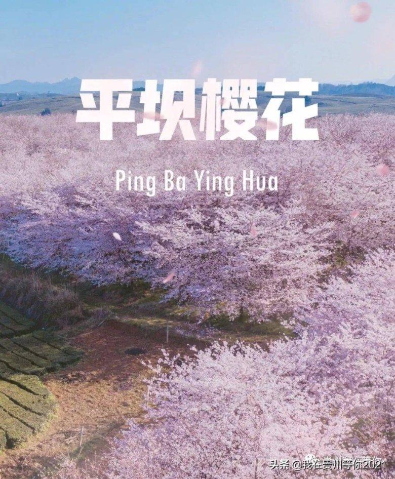 《女儿们的恋爱3》烂尾了吗？