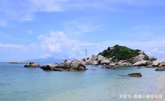 动物帮帮忙保卫家园
