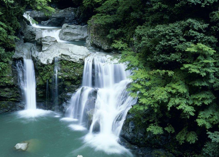 缤纷水果茶无敌版